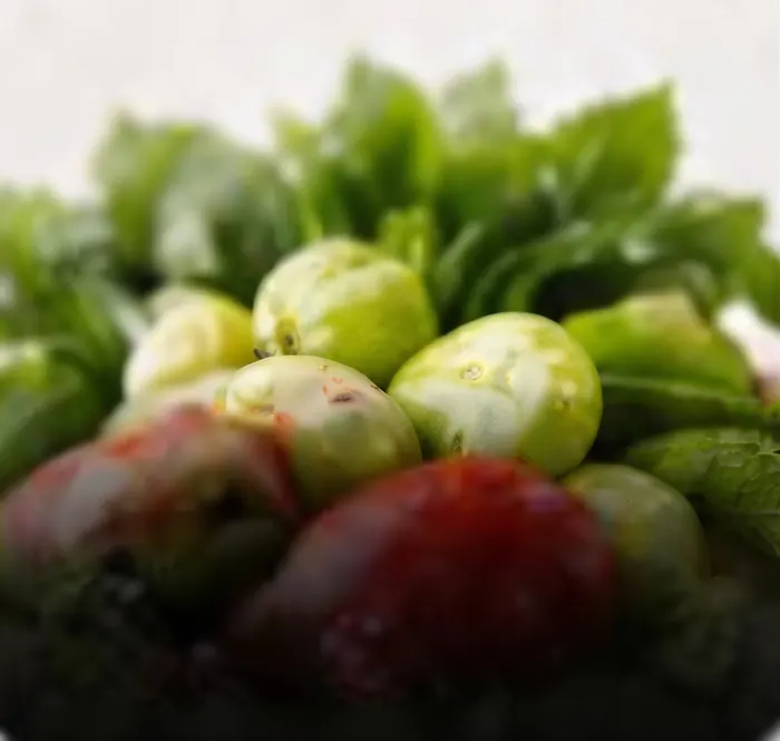 Sayur Segar