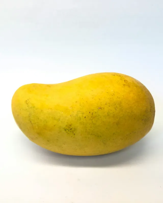 Mangga